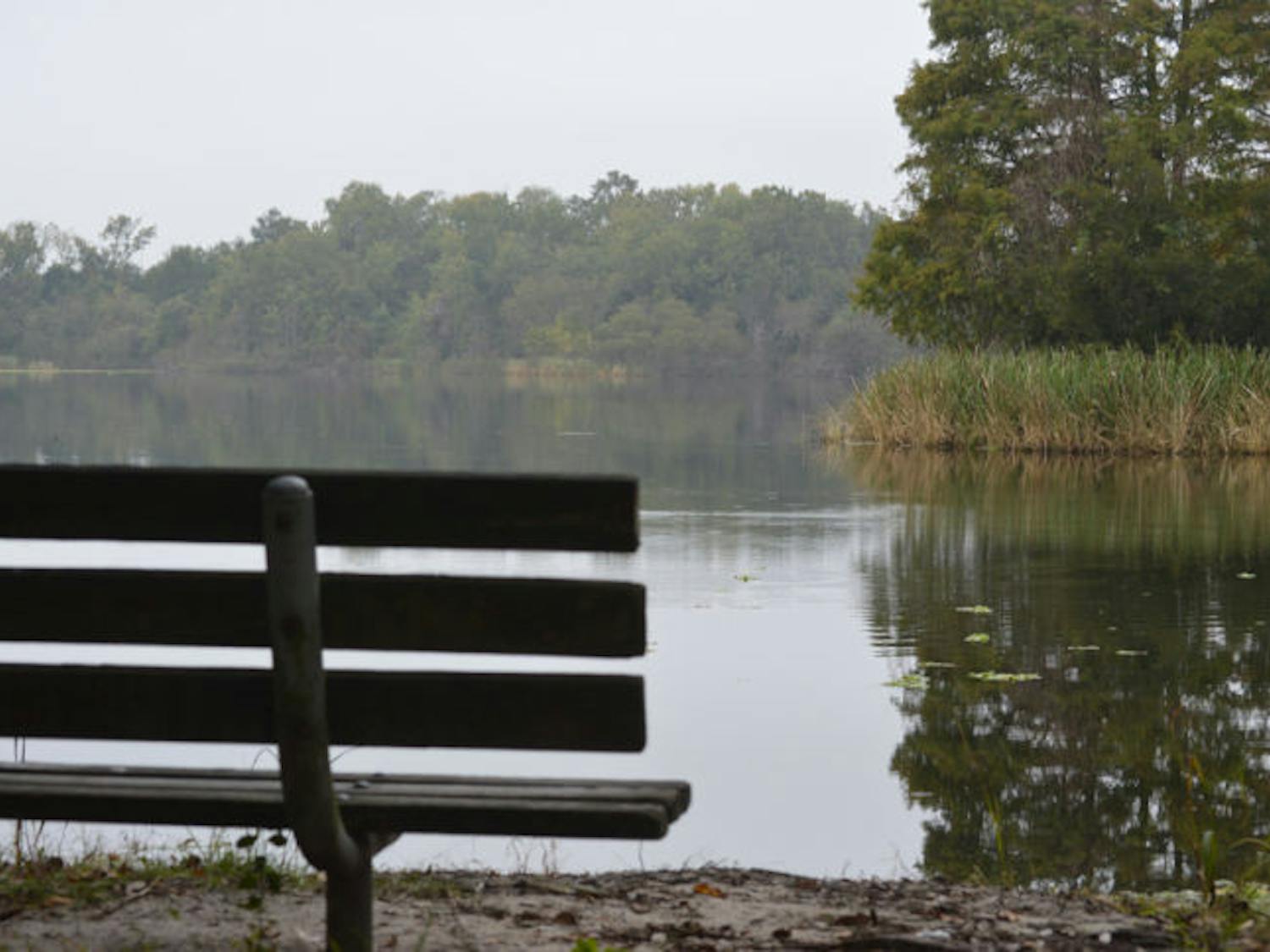 Lake Alice spans approximately 129.5 acres on UF campus.