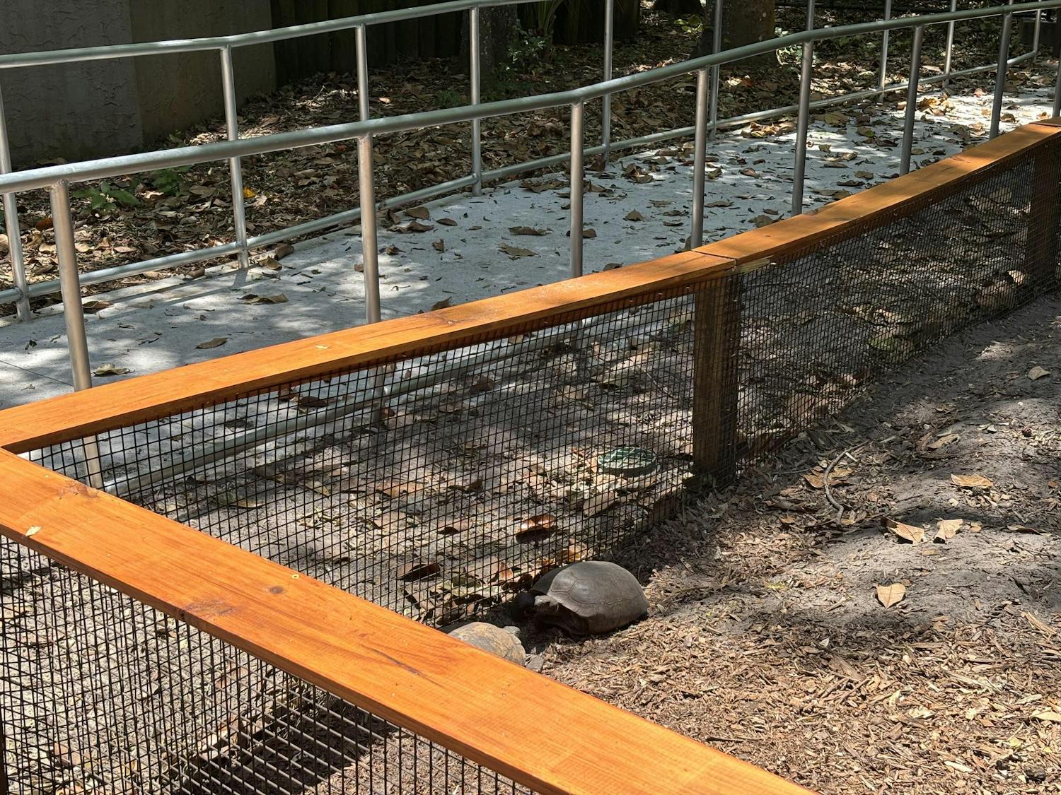 Two tortoises sit in the shade at the Santa Fe College Teaching Zoo on April 26, 2025.