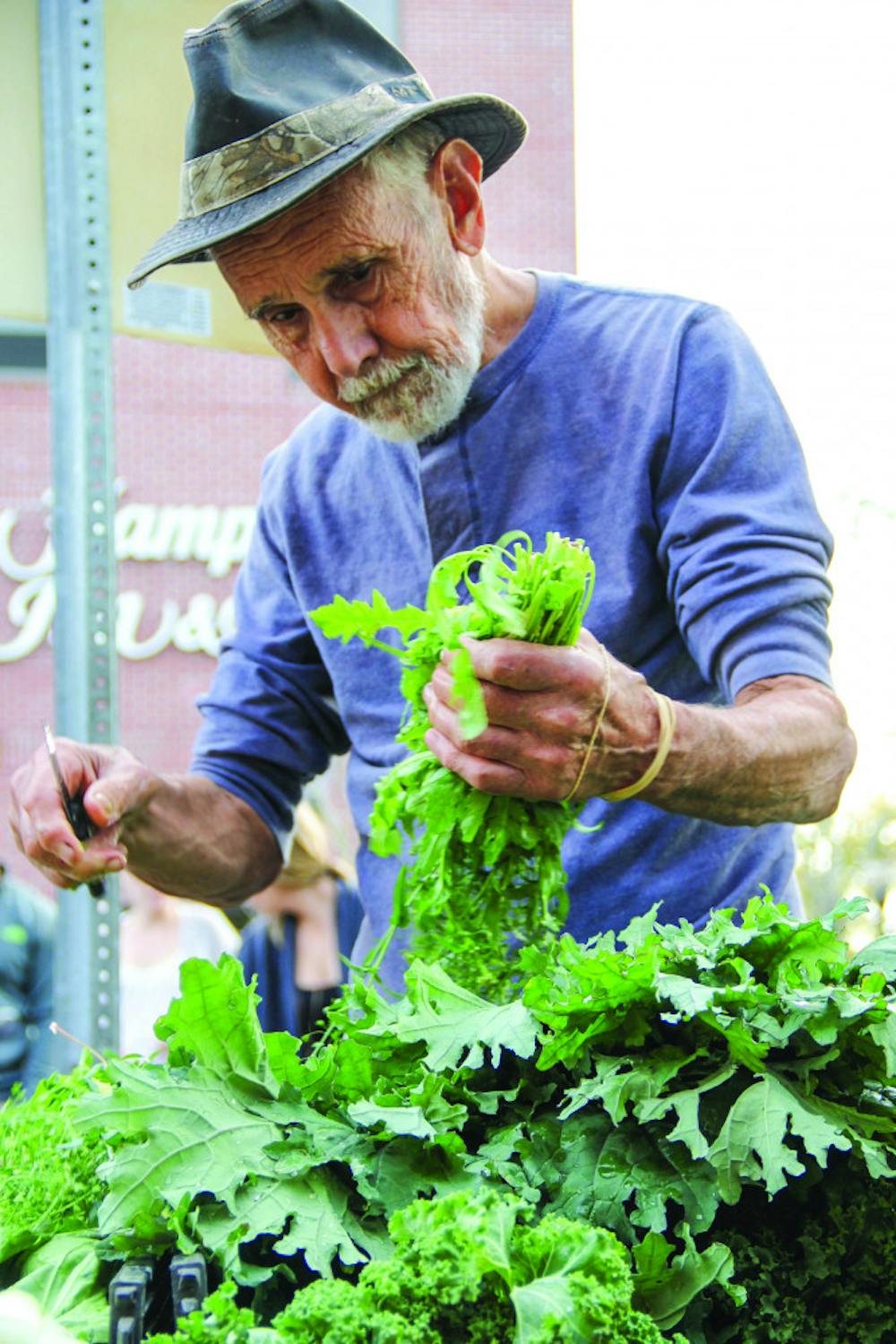 <p>John Steyer, 80, sorts through his vegetables in preparation for the farmers market. Steyer said he grows all of his crops on 24 acres of land.</p>