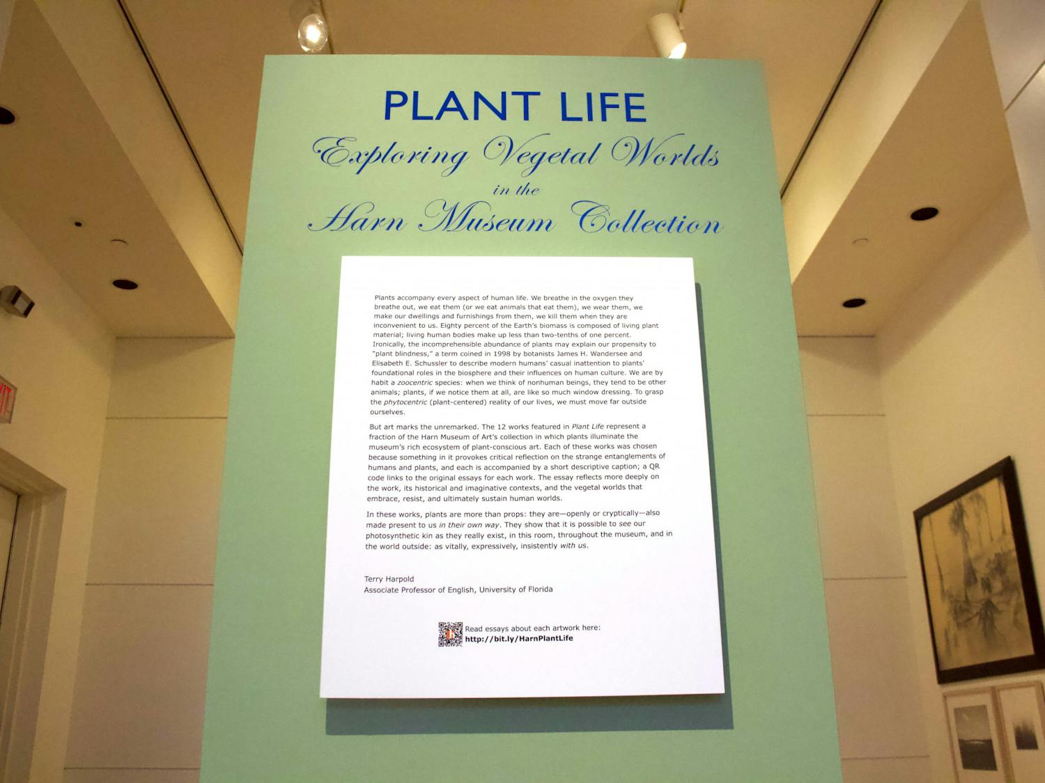 The Plant Life exhibit is seen at the Harn Museum of Art on Tuesday, Nov. 30, 2021.