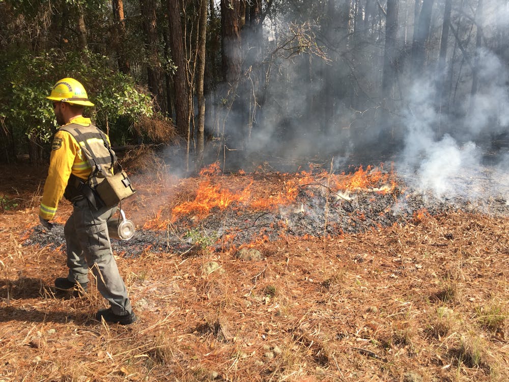 <p><span>A Florida Forest Service Forest Ranger lighting a prescribed burn with a drip torch on Newnans Lake State Forest winter of 2018. Courtesy to The Alligator</span></p>