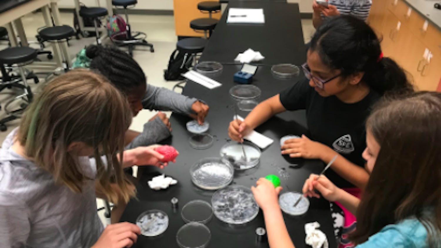 Sasha Brown, 12, Alana Keller, 11, Maggie Klein, 12 and Khushi Patel, 11, are middle school girls learning about brain phantoms, which are a material that have specific characteristics to the brain tissue.
&nbsp;