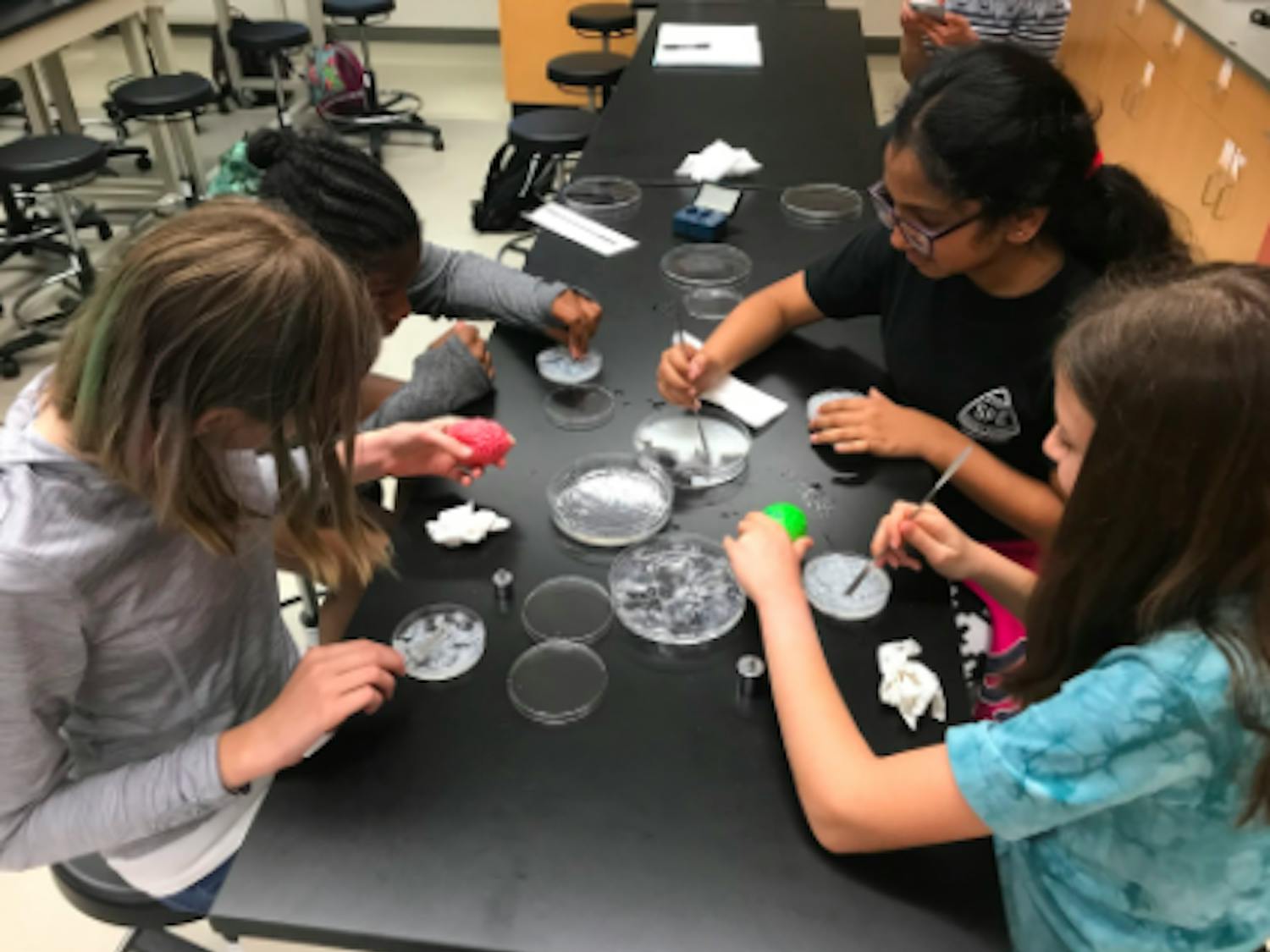 Sasha Brown, 12, Alana Keller, 11, Maggie Klein, 12 and Khushi Patel, 11, are middle school girls learning about brain phantoms, which are a material that have specific characteristics to the brain tissue.
