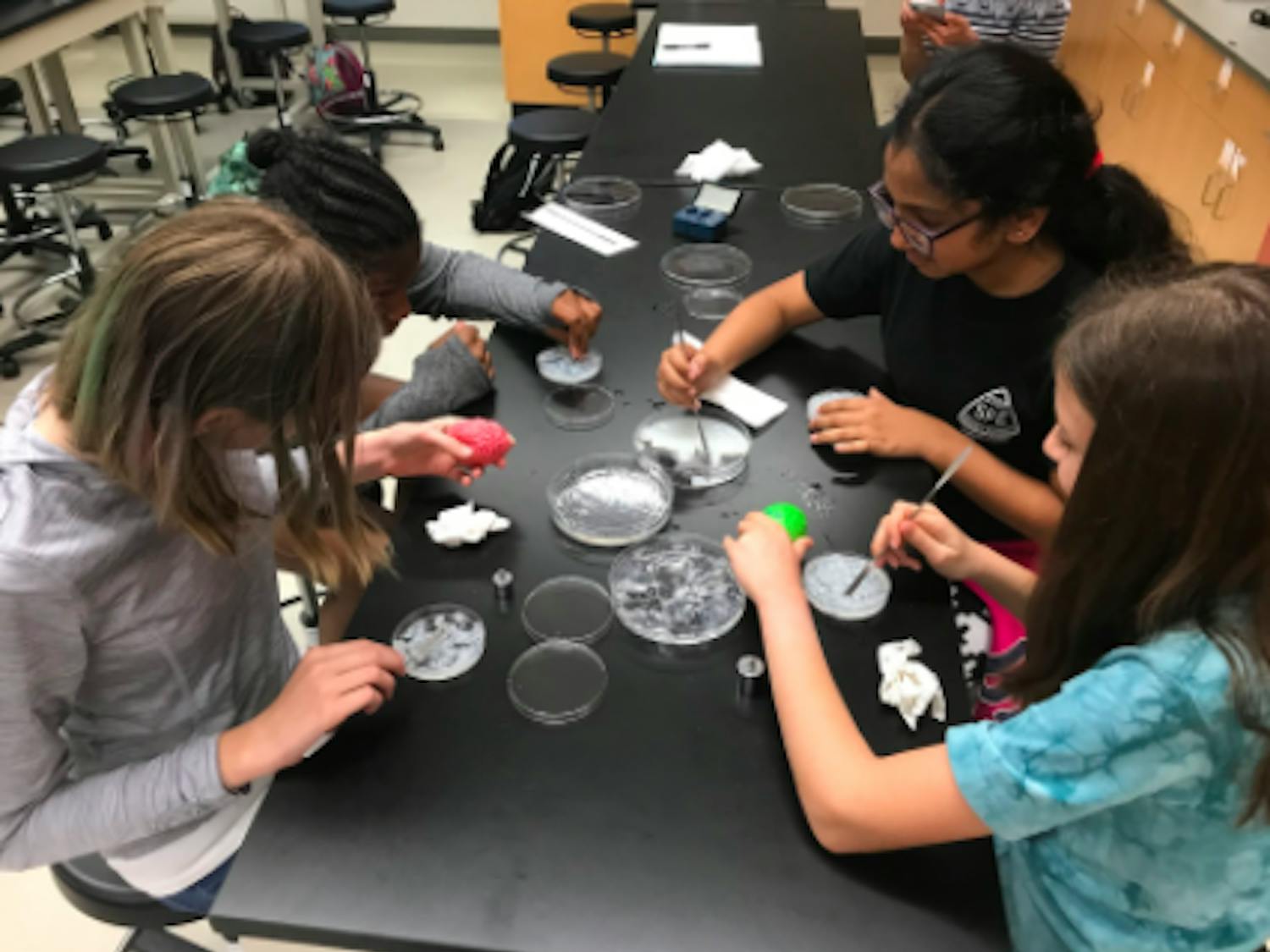 Sasha Brown, 12, Alana Keller, 11, Maggie Klein, 12 and Khushi Patel, 11, are middle school girls learning about brain phantoms, which are a material that have specific characteristics to the brain tissue.
&nbsp;