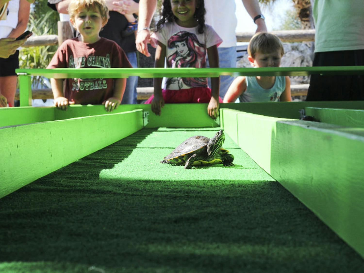 Children cheer on their turtles in a race during the 11th annual Cooter Festival on Saturday in Inverness, Florida. The festival celebrated the indigenous Cooter turtle and featured more than 80 vendors.