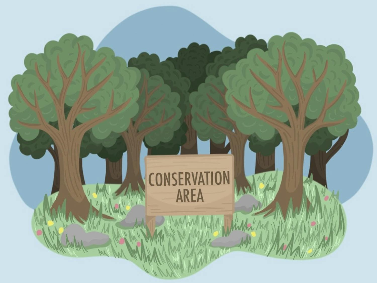 cartoon land conservation