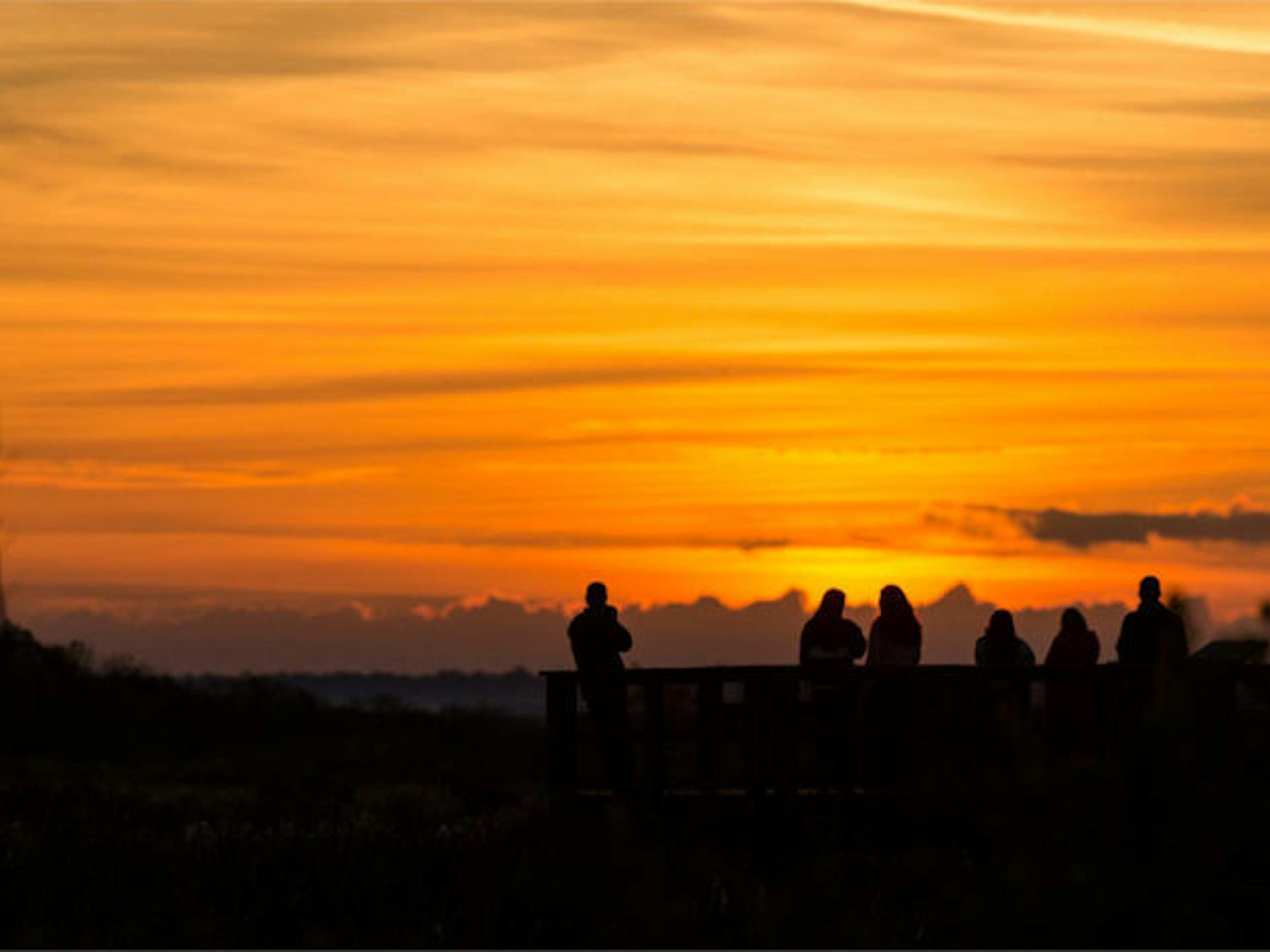 Residents watch as the sun rises over Paynes Prairie Preserve State Park.