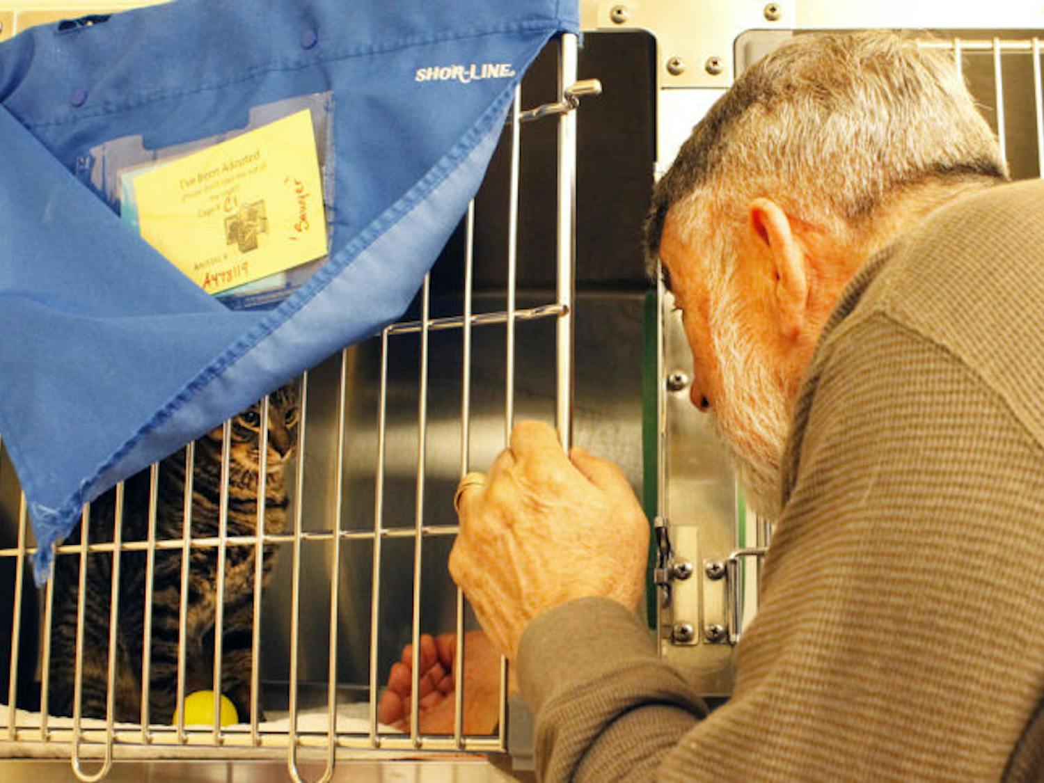 A.J. Sontag, 70, of Bradford County, peers in at Sawyer, his newly adopted 9-month-old domestic short-haired tabby cat, during Spring Fling, a two-day adoption event at Alachua County Animal Services.
