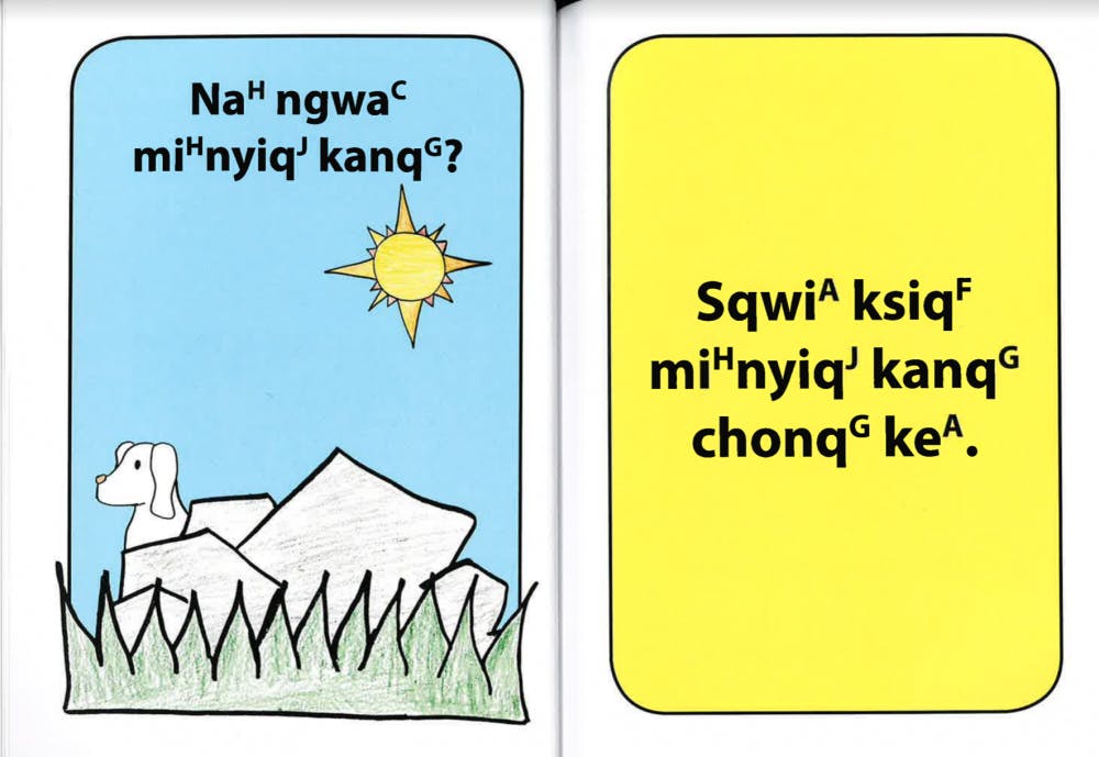 Hilaria Cruz and her sister worked to develop a Chatino alaphabet with linguists and anthropologists at The University of Texas at Austin. Dartmouth College students used the language to write eight children’s books. Courtesy to The Alligator