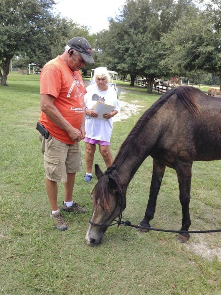 Paul Gregory, president of Mill Creek Farm, stands by the farm’s newest equine member, Cheyenne, a 30-year-old Bay Roan Grade horse. Mill Creek Farm houses horses that have been abandoned, neglected or abused. Cheyenne was starved when Okeechobee Animal Control found her.