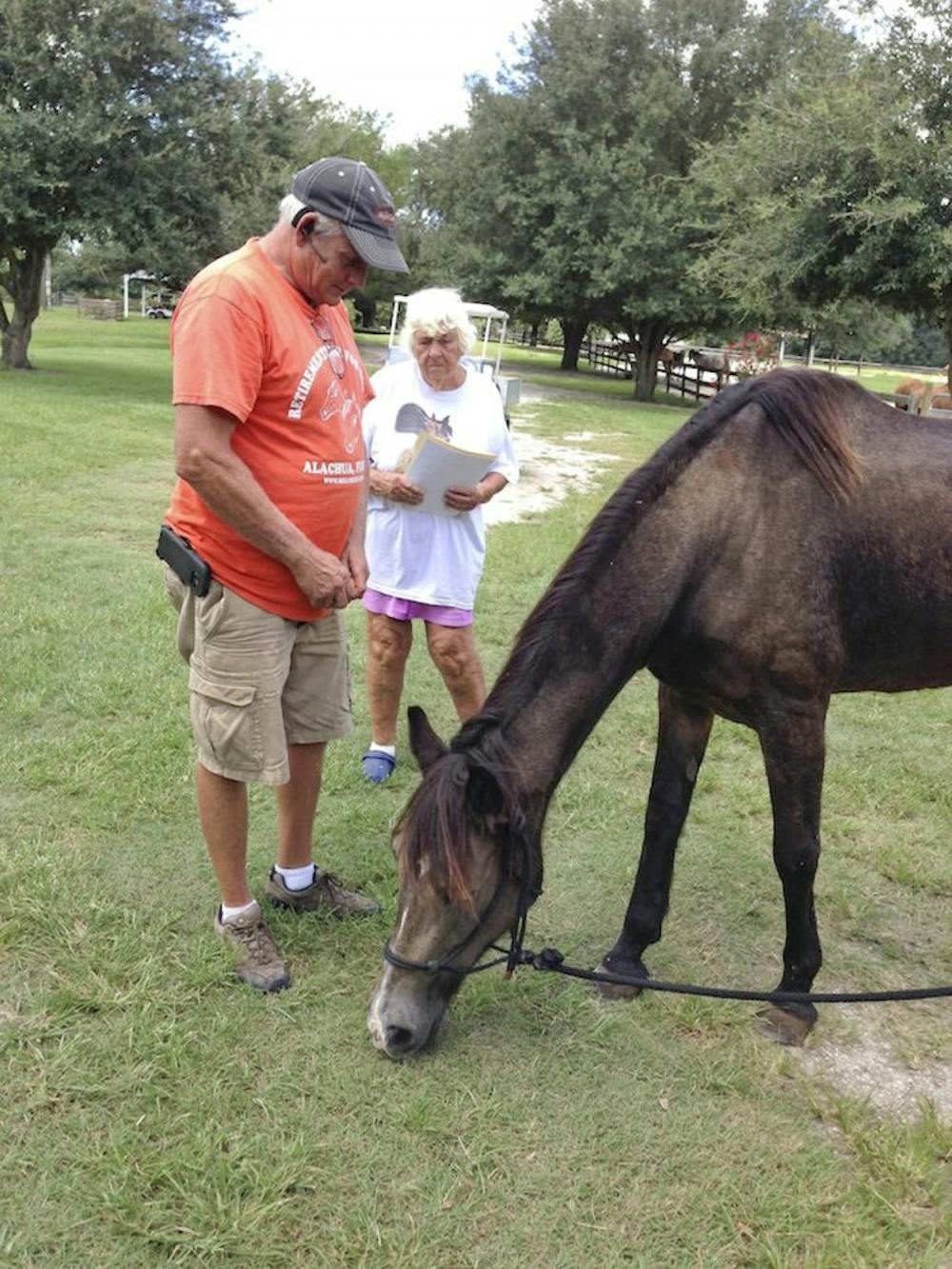 <p>Paul Gregory, president of Mill Creek Farm, stands by the farm’s newest equine member, Cheyenne, a 30-year-old Bay Roan Grade horse. Mill Creek Farm houses horses that have been abandoned, neglected or abused. Cheyenne was starved when Okeechobee Animal Control found her.</p>