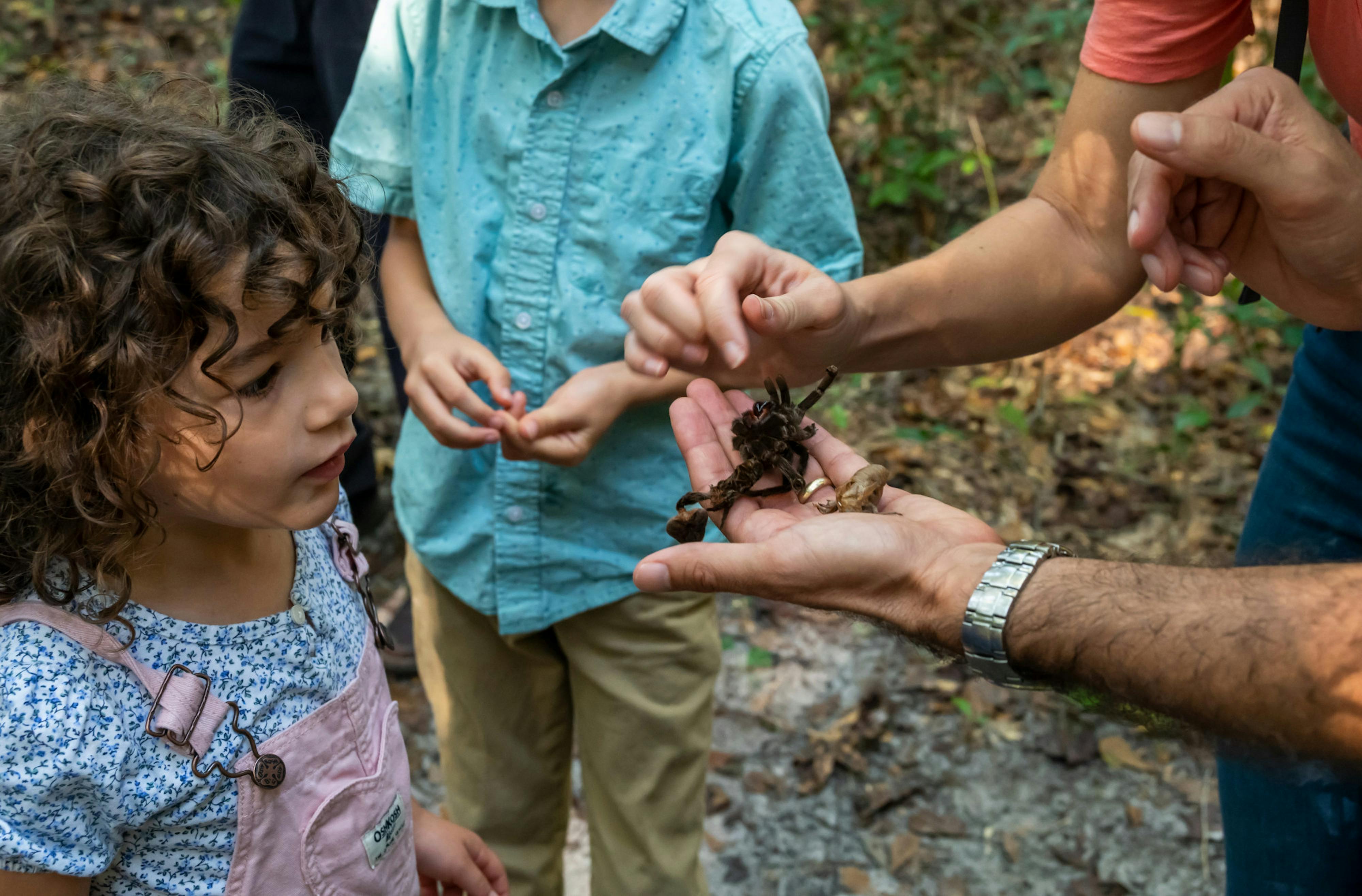 Museum program expands scientific learning for children - The Independent Florida Alligator - Vimarsana News