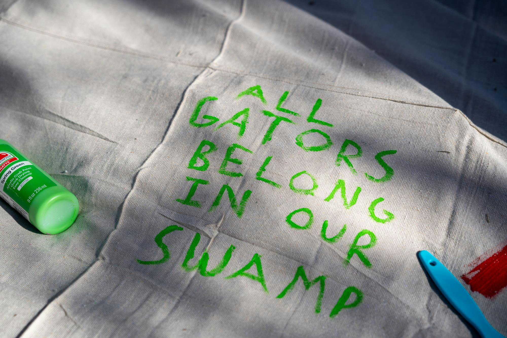 YDSA solidarity fest-5.jpeg