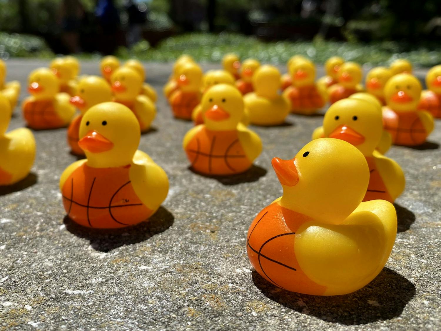 Kendall Johnson’s basketball-themed rubber ducks sit waiting for students in Turlington Plaza on Wednesday, April 16, 2025.