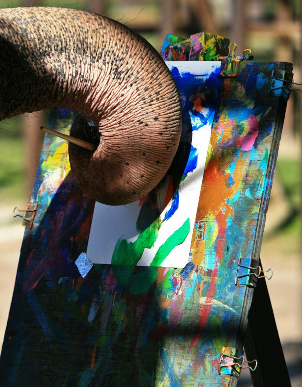 <p>Luke, a 28-year-old Asian elephant, paints a picture for the audience at Two Tails Ranch located in Williston, Florida. The ranch is owned by Patricia Zerbini, 47, who has dedicated her life to training the elephants and studying exotic animals.</p>