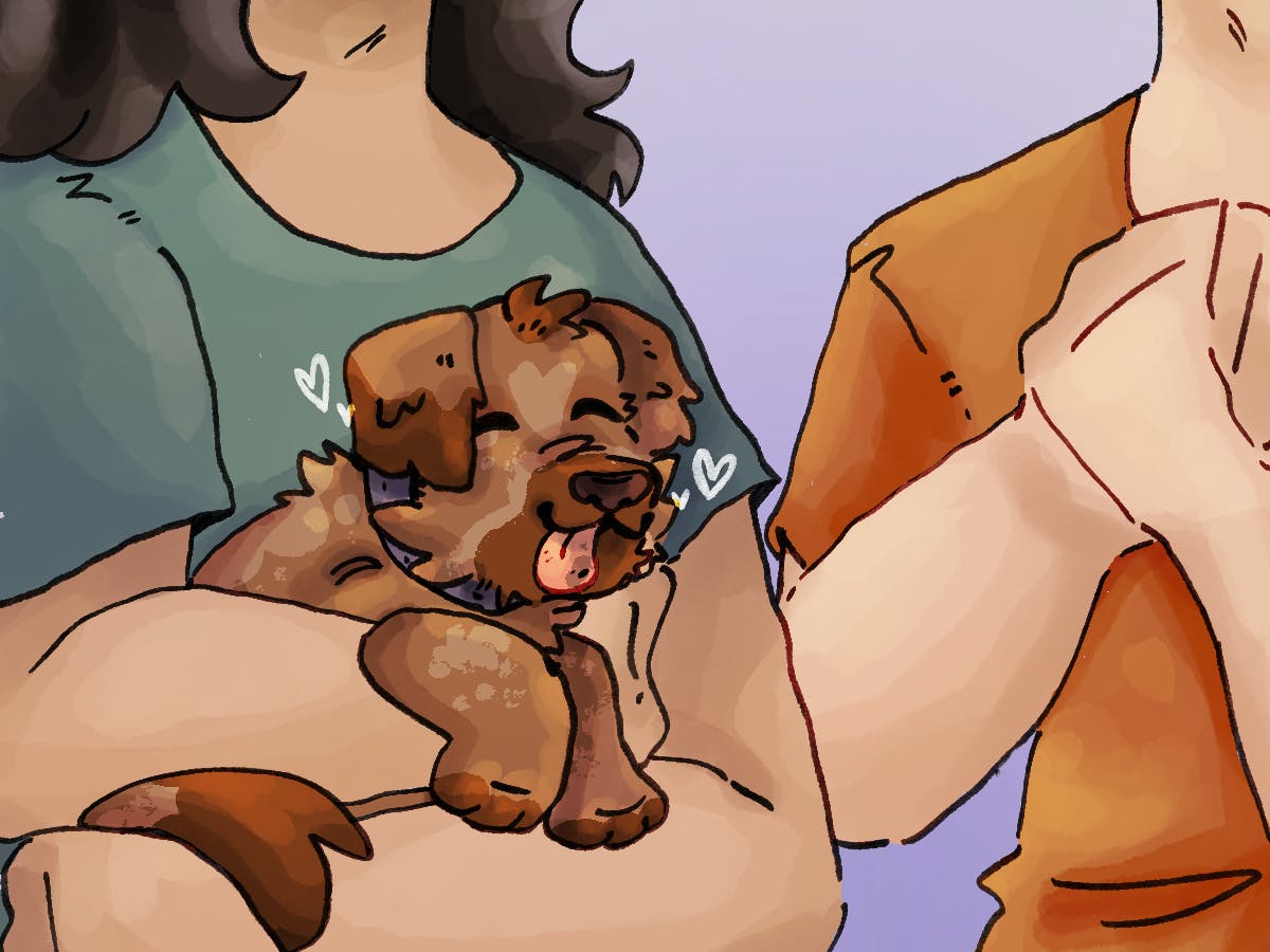 The new animal shelter will be a partnership between Alachua County and UF.