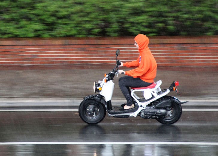 A student rides to UF's campus in the rain Tuesday morning on University Avenue. The early-morning rain could bring cooler temperatures for the upcoming days.