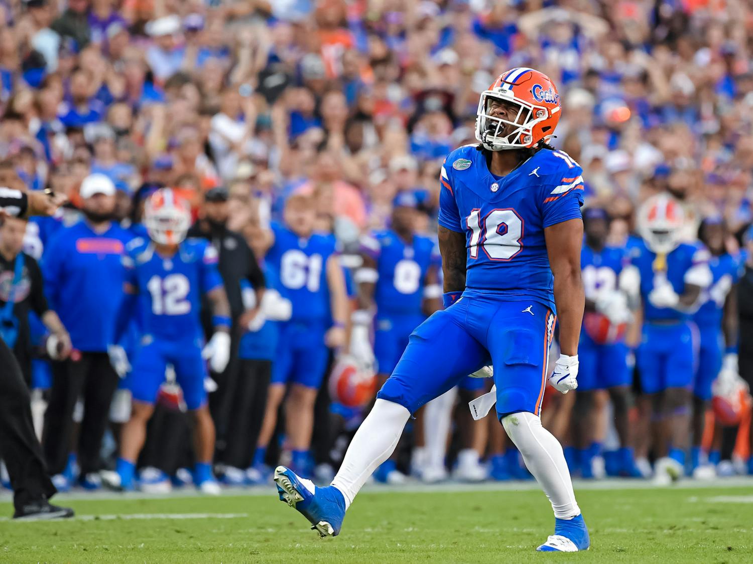 Bryce Thornton (18) celebrates a pass breakup during the first quarter against the Lousiana State Tigers at Ben Hill Griffin Stadium on Saturday, Nov. 16, 2024.