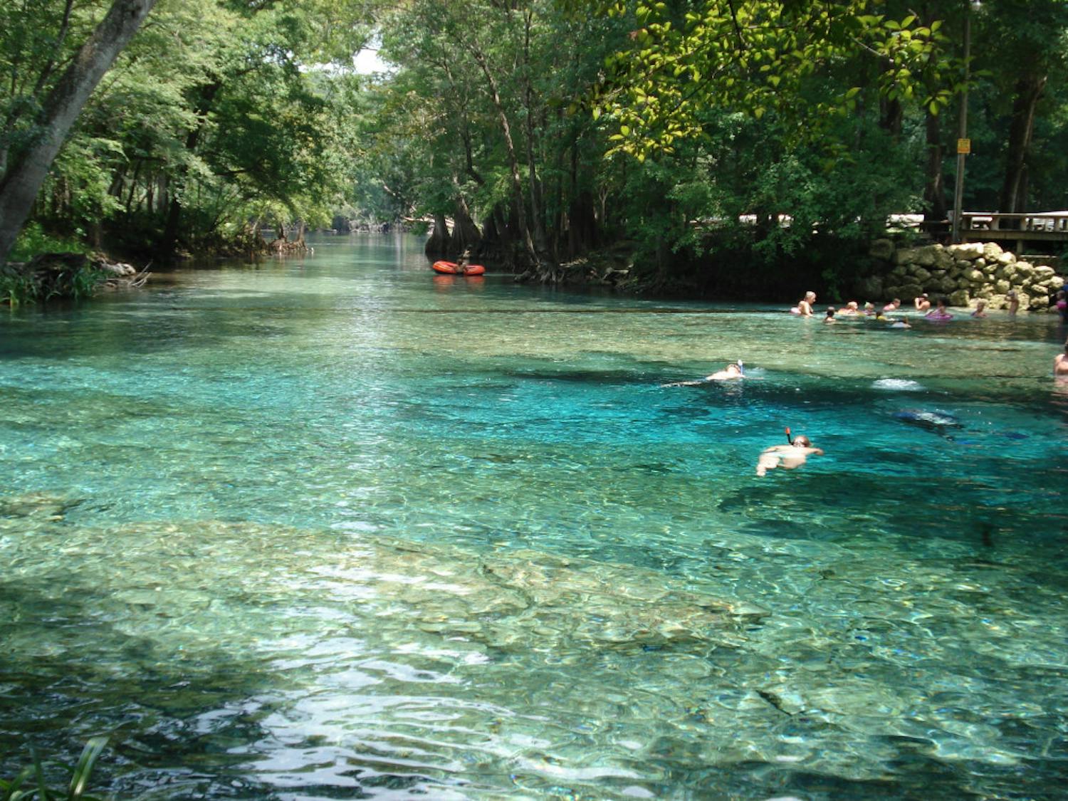 Ginnie Springs is located just outside of Gainesville in High Springs, Florida. 