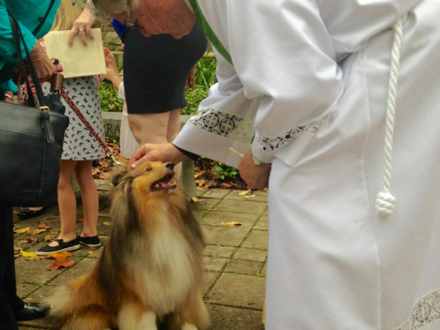 Sadie, a 6-year-old Shetland sheepdog gets blessed by the Rev. Reed Freeman at Holy Trinity Episcopal Church, located at 100 NE First St. before the Sunday service. About 100 animals were blessed during the annual event.