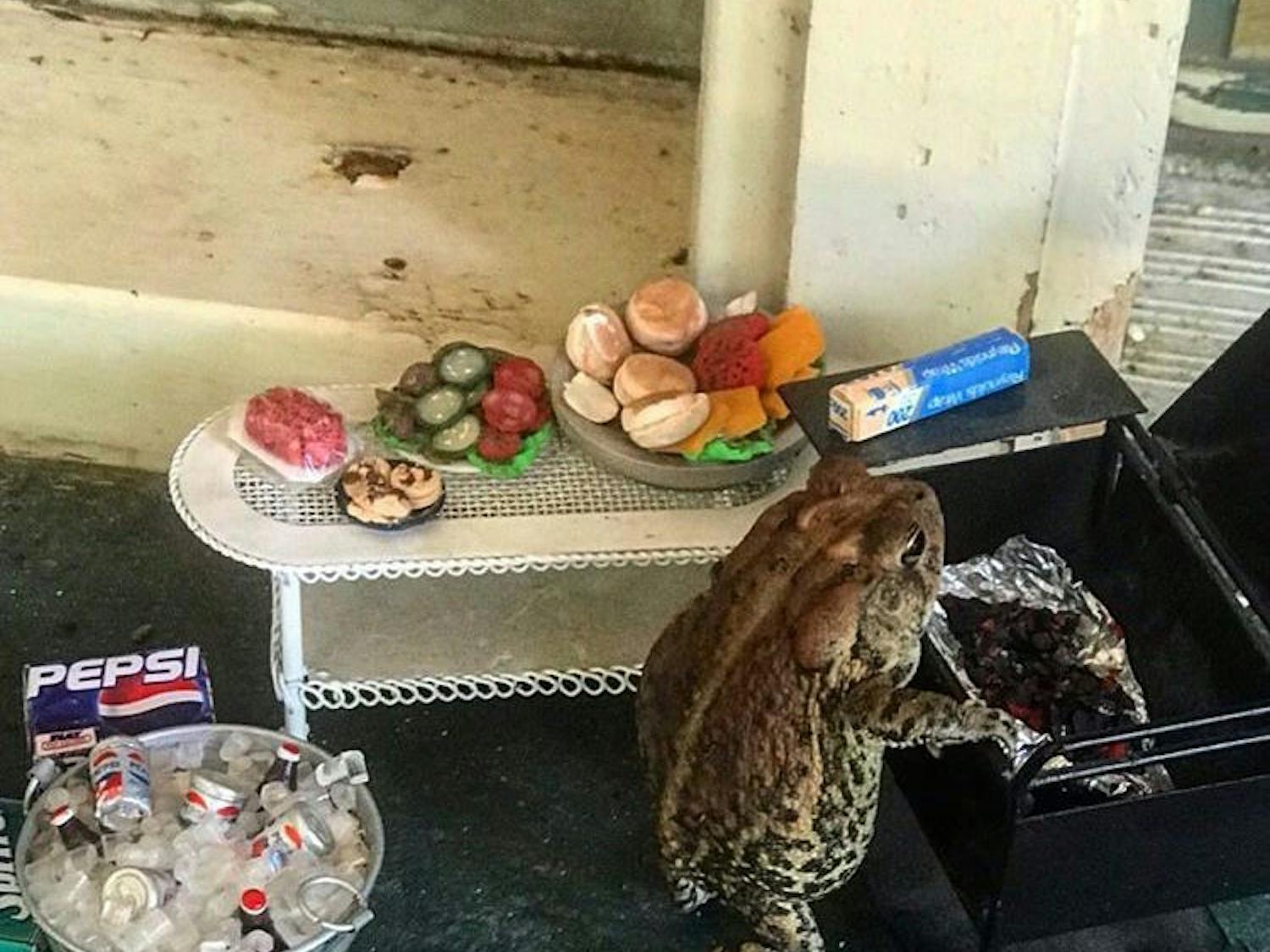 Toby the Toad is posed with props from Mikell's dollhouse, which was made by her aunt when Mickell was 6. This photo was published on the Instagram account "yaboi_toby_toad" July 17 with the caption "who comin ?"
