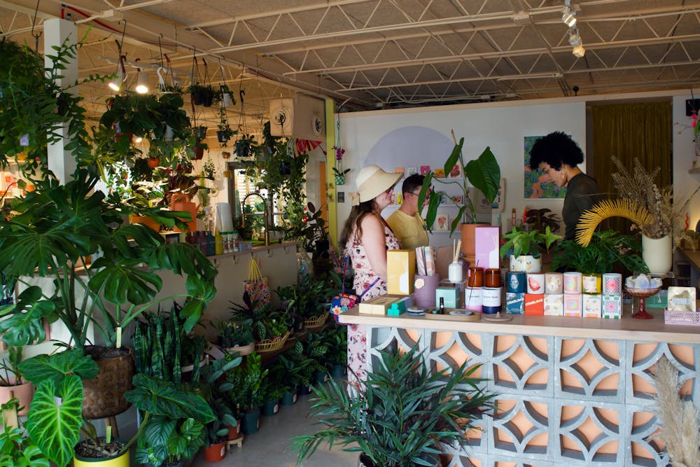 <p>Customers browse the vast plant selection at Serpentine Plants + Provisions Friday, Feb. 17, 2023.</p>