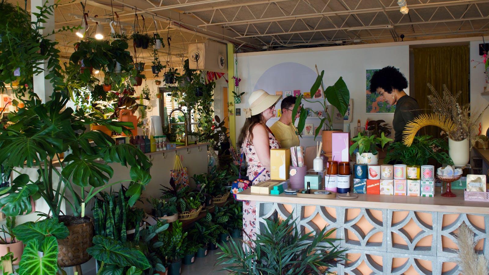 Serpentine Plants + Provisions combines plants with home design Serpentine Plants + Provisions combines plants with home design