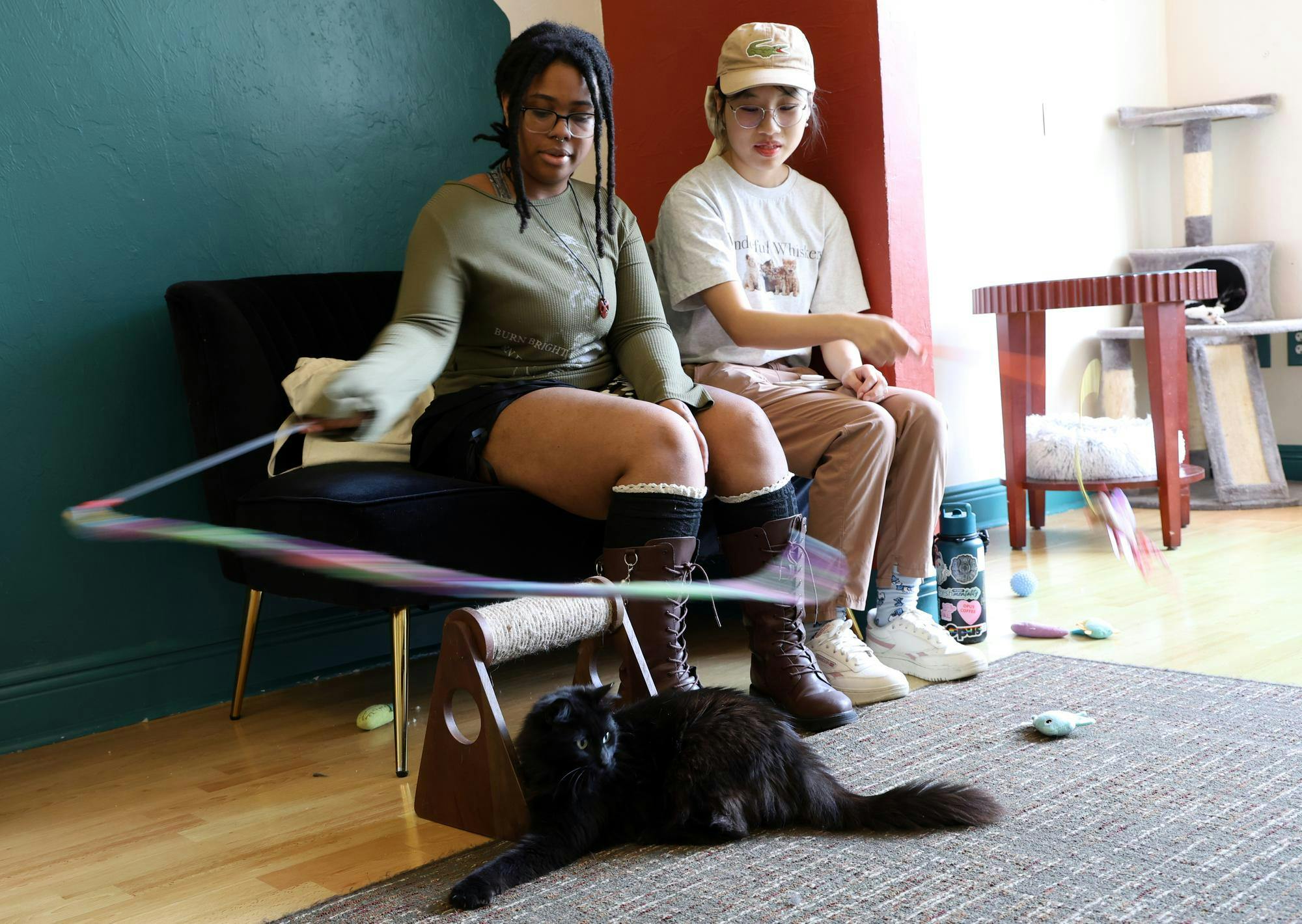 Satia Brown (left) and Hannah Huynh (right) swing a string in front of Josie at Feline Good Cat Cafe on Thursday, June 12, 2025.

