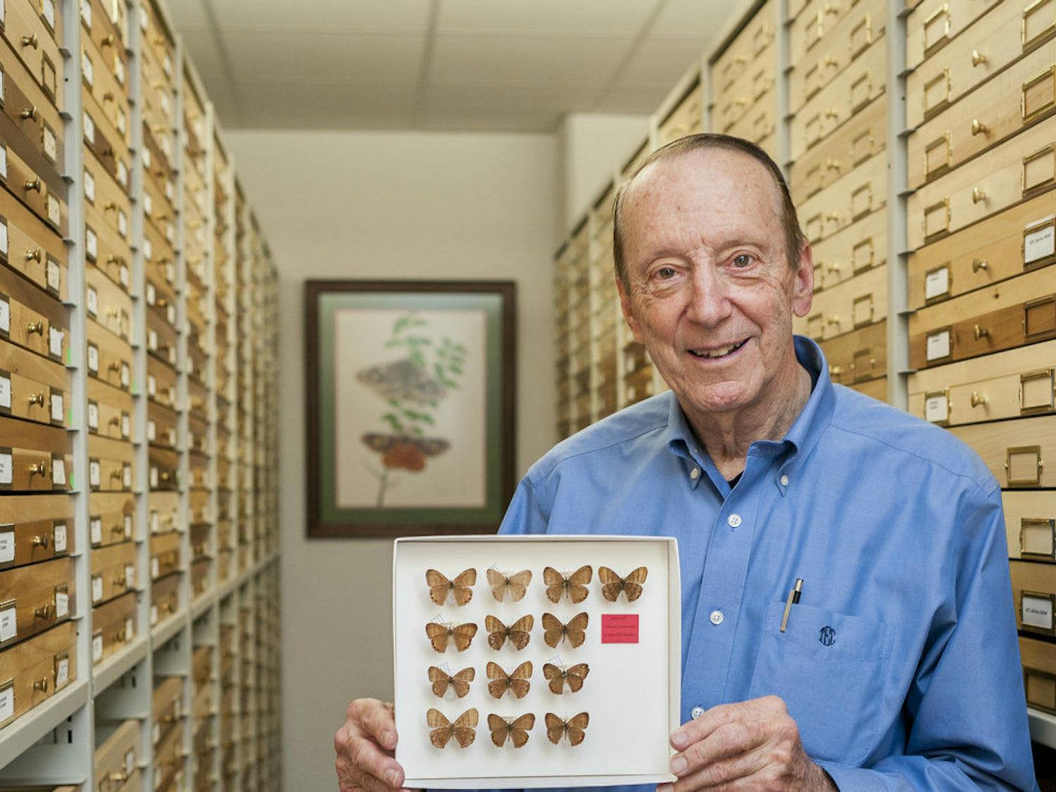 Thomas Emmel, 76, holds onto 13 specimens of the brown butterfly in his collection. After they were recovered about 60 years after his initial discovery, Emmel said he was surprised they were rediscovered. He said he hopes to discover more about the species.
&nbsp;