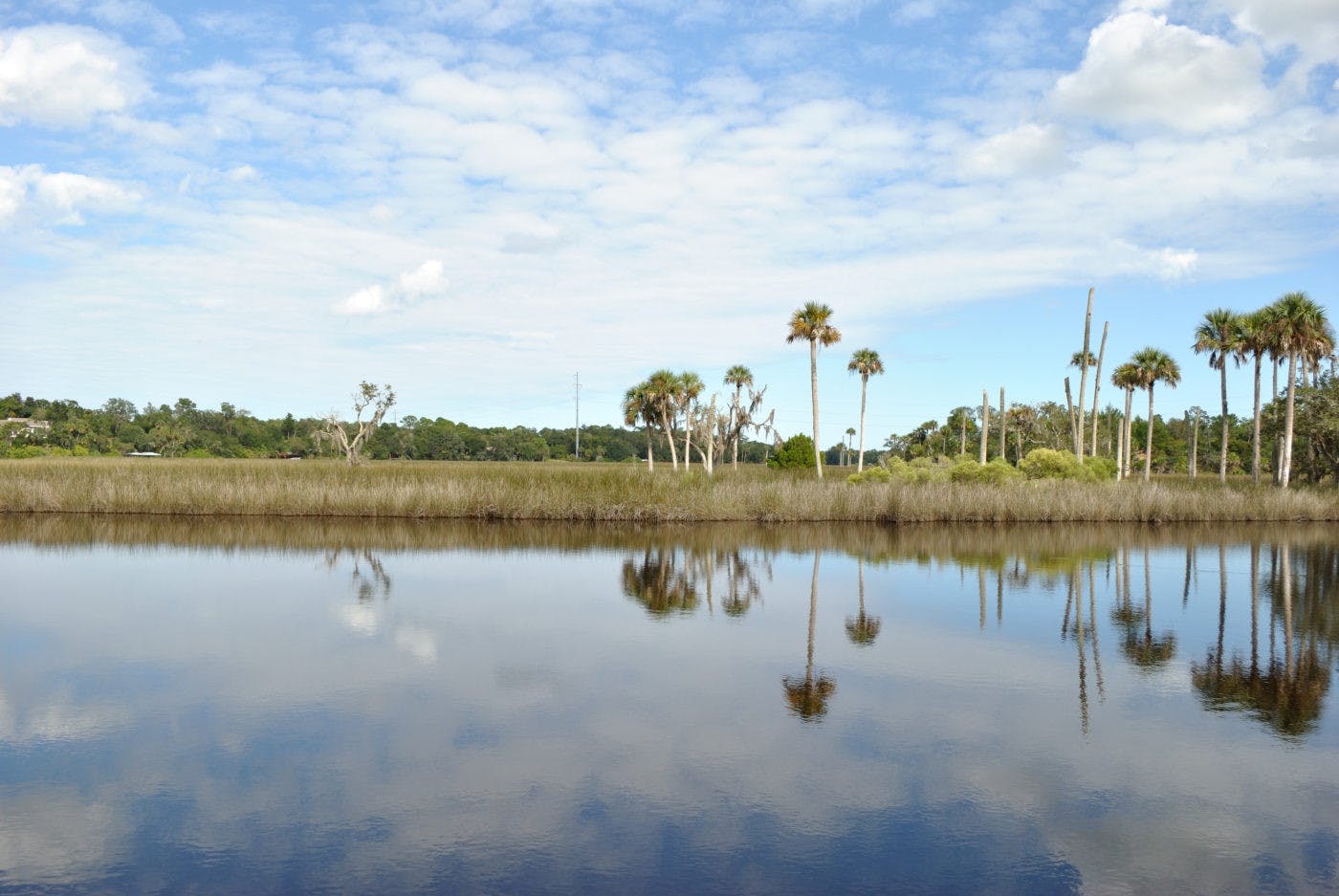 Spruce Creek Peaceful Water 