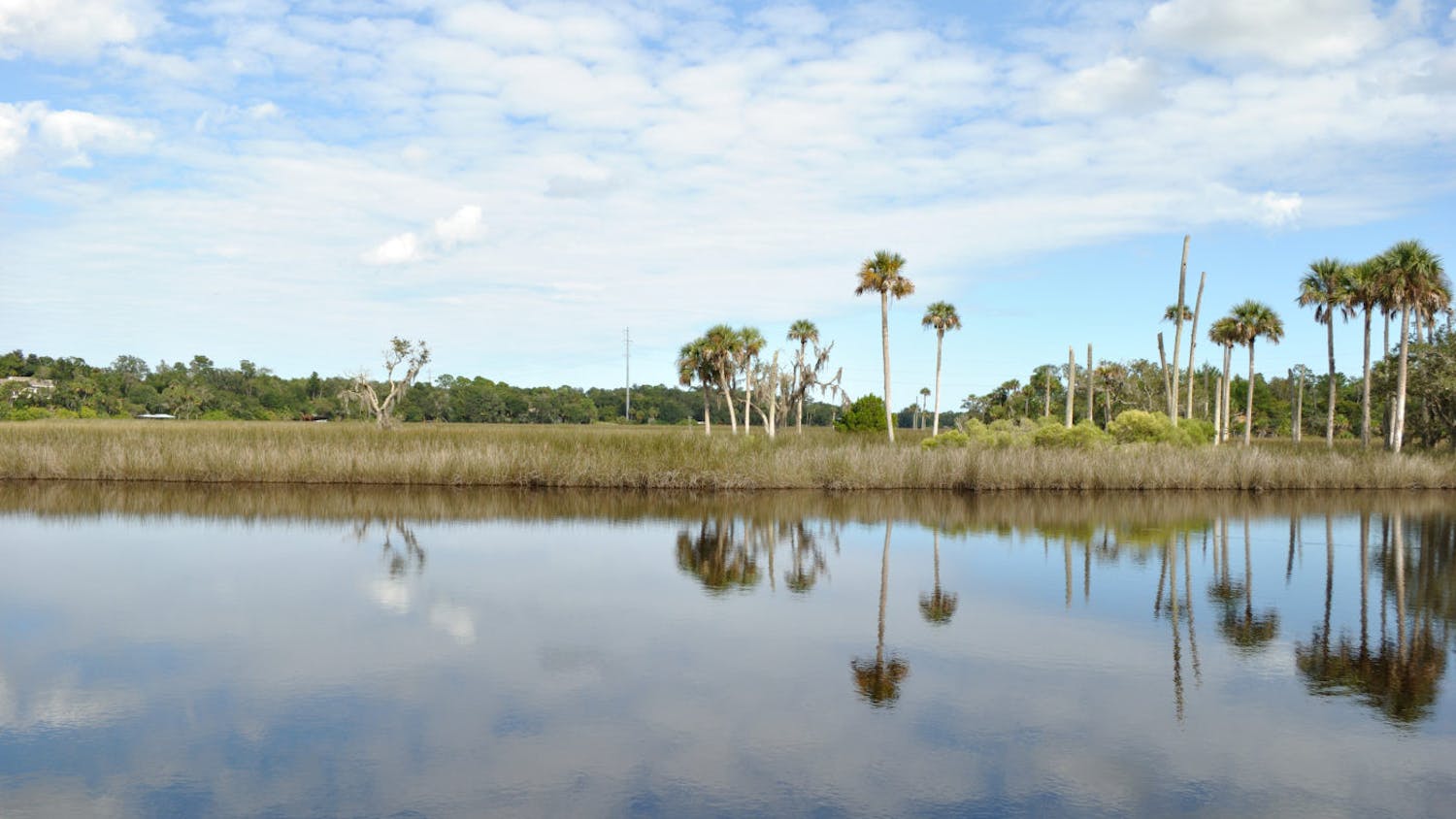 Spruce Creek Peaceful Water