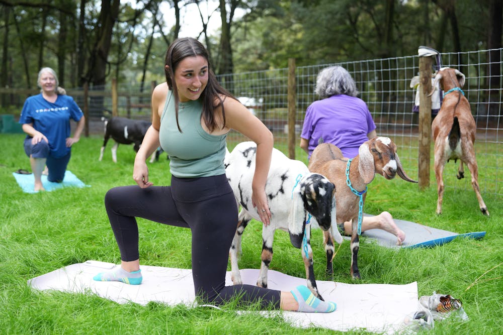 <p>An attendee at Downward Goat, located at 14823 SW 79th Place, does goat yoga with owner Korinne Johnson&#x27;s goats on Saturday, Nov. 11, 2023. </p>