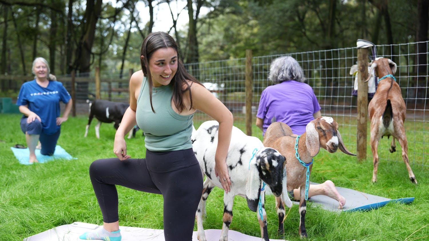 An attendee at Downward Goat, located at 14823 SW 79th Place, does goat yoga with owner Korinne Johnson&#x27;s goats on Saturday, Nov. 11, 2023. 