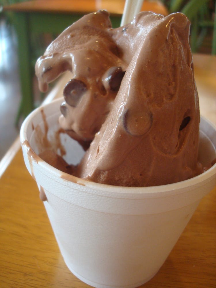 Chocoholic custard from SweetBerries, a local restaurant participating in Gainesville Restaurant Week