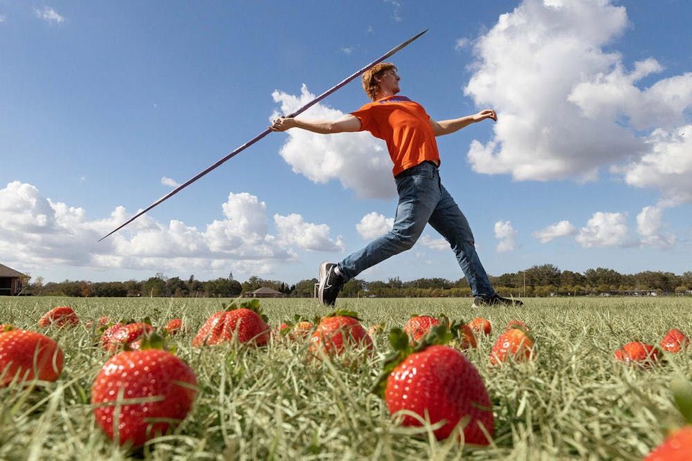 Florida track star and javelin thrower Mark Porter is a Ph.D. candidate learning to grow and perfect the taste of a strawberry.