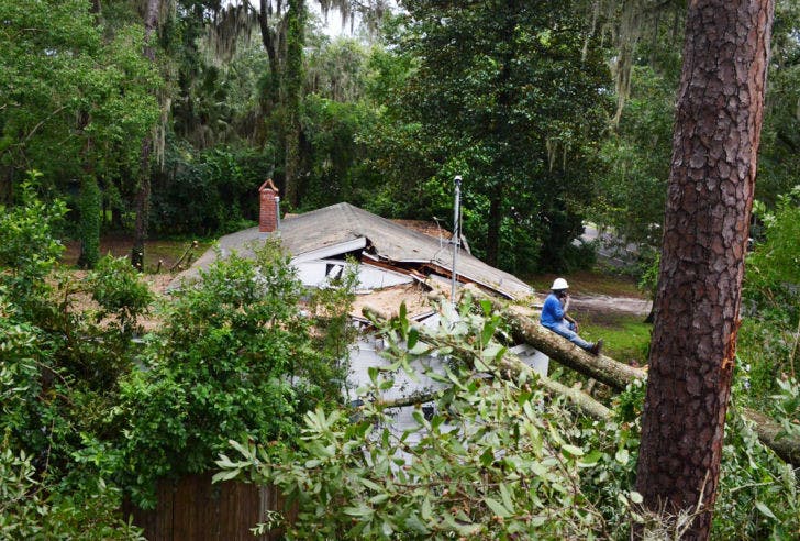 Michael Campbell, a 35-year-old employee of Daughtry Tree Service, LLC, sits on a fallen tree at 1615 NW 7th Ave. on Tuesday. Employee Ryan Jerry, 26, said it likely fell because excessive rain had weakened its roots.
&nbsp;