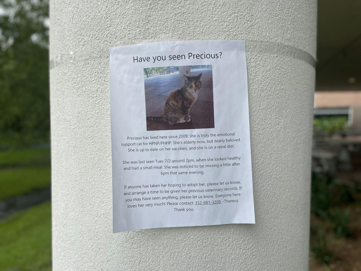 A flyer in the UF College of Public Health and Health Professions sharing information on Precious, a campus cat that has lived around the building since 2008 and went missing on Tuesday, July 2, 2024.