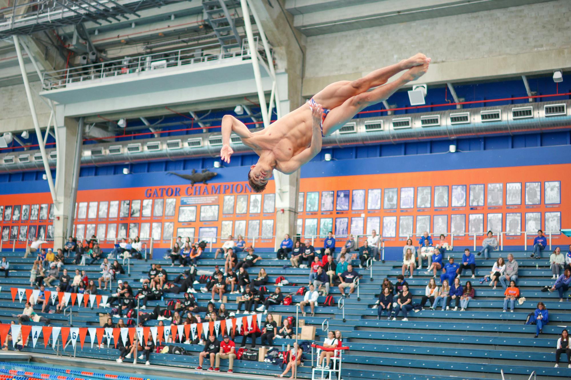 Florida diver Leonardo Garcia dives during the Gators' meet against the Florida Atlantic Owls Friday, Jan. 13, 2023.
