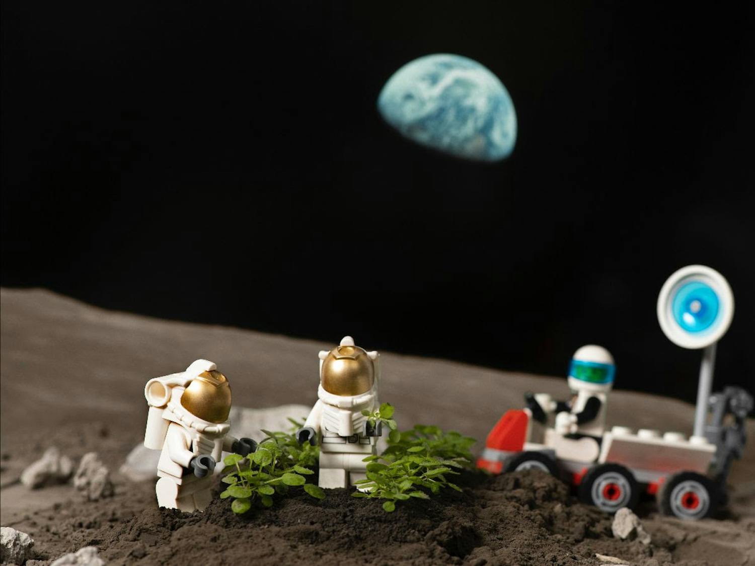 UF researchers published their findings about the growth of plants in lunar soil May 12.
