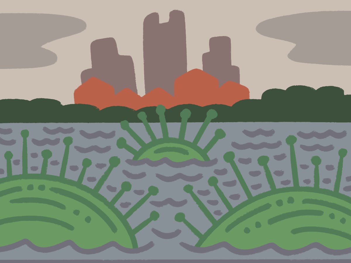 A dark cloud looms over Gainesville as flu season approaches once more. But this time, nobody is safe from being infected.