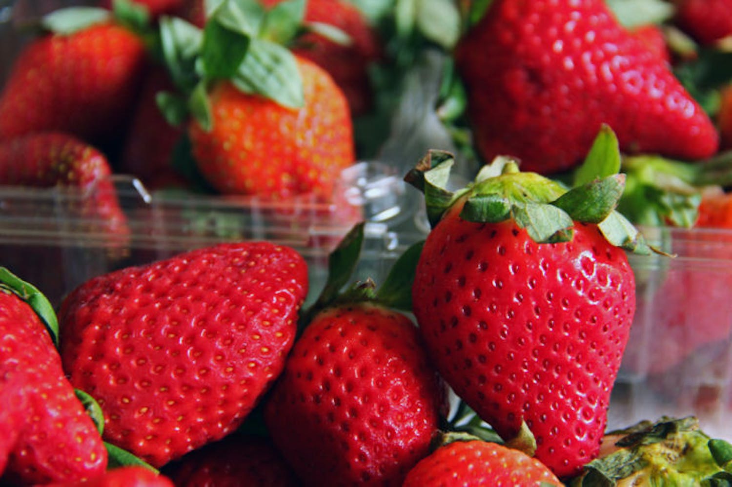 A new UF study has found compounds in strawberries that make the fruit taste sweeter. Researchers want to use this information to make a better artificial sweetener.