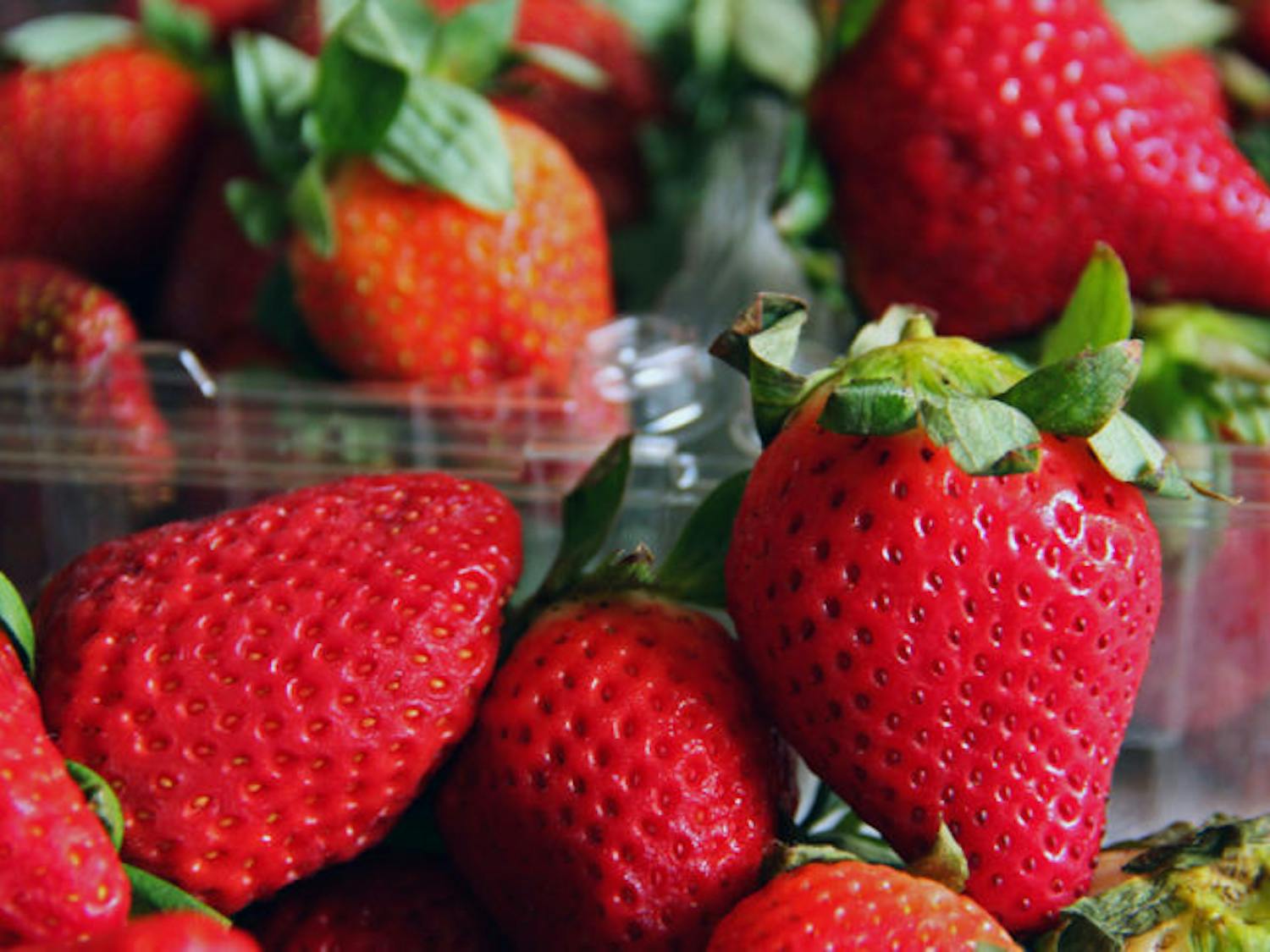 A new UF study has found compounds in strawberries that make the fruit taste sweeter. Researchers want to use this information to make a better artificial sweetener.