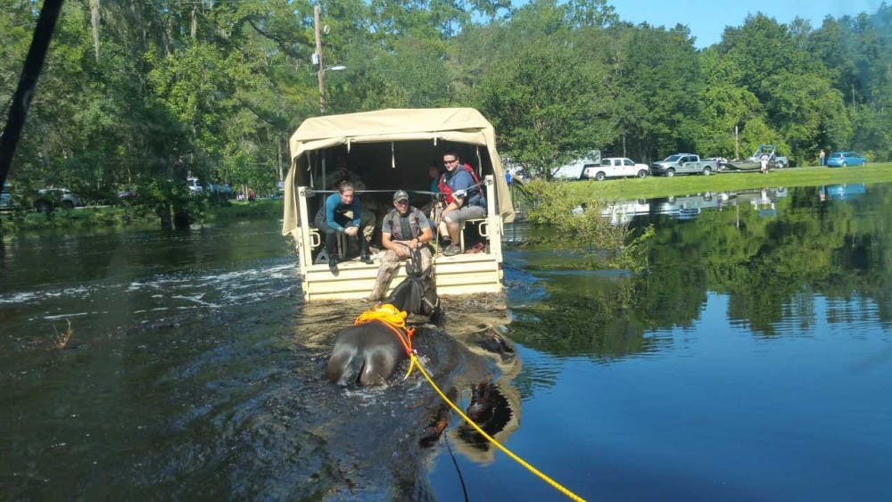 <p dir="ltr"><span>Members of the several different agencies, including the UF Veterinary Emergency Treatment Services technical rescue team, saved five horses trapped in floodwater in High Springs on Sunday.</span></p><p><span> </span></p>