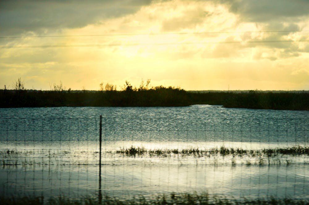 Heavy rainfall post-Hurricane Irma has yielded water levels so high that the once-open fields of Paynes Prairie Preserve State Park now more closely resemble lakes. The severe flooding has caused the closure of several trailheads as well as both northbound and southbound lanes of U.S. Route 441 near the state park.