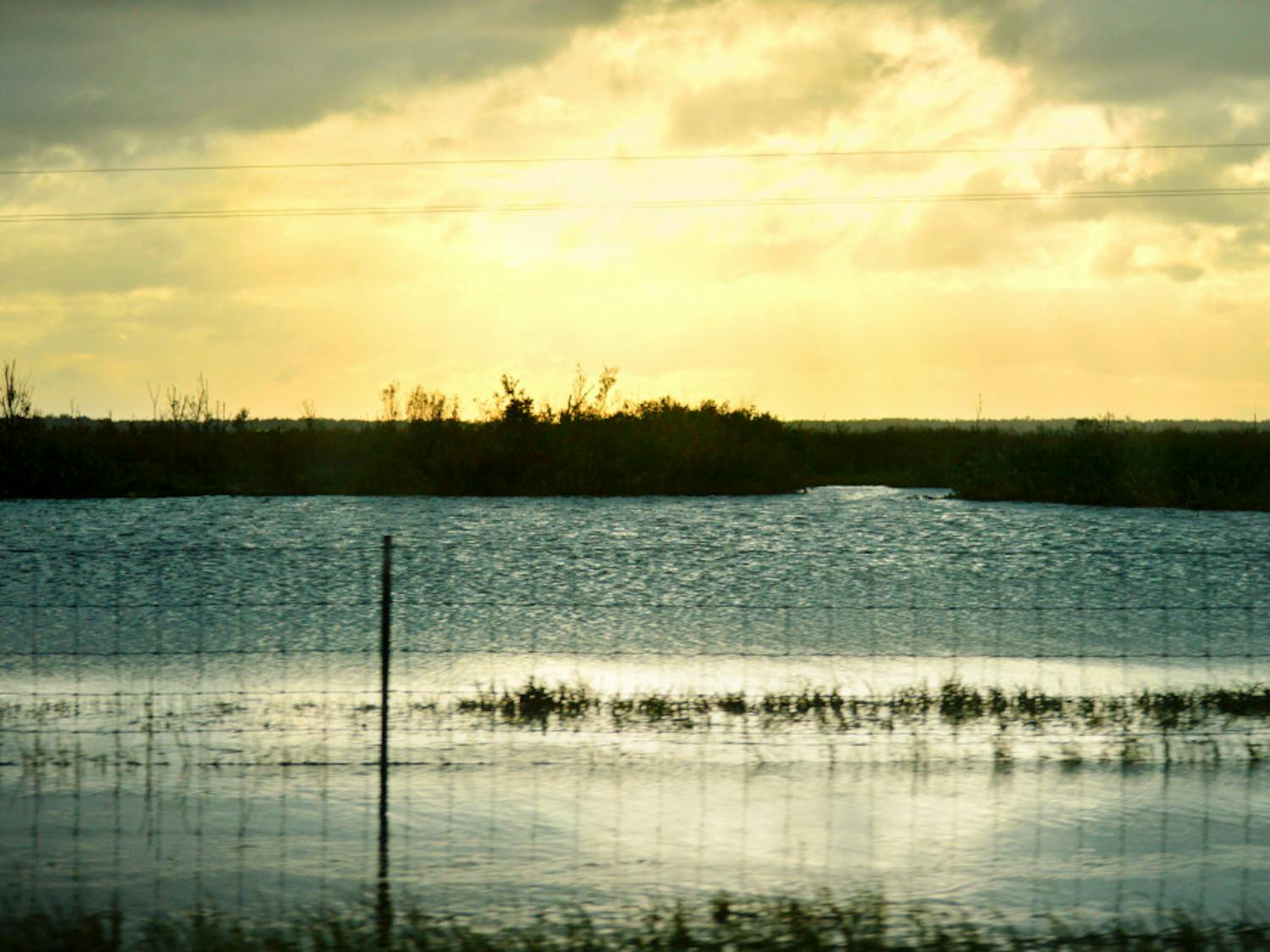 Heavy rainfall post-Hurricane Irma has yielded water levels so high that the once-open fields of Paynes Prairie Preserve State Park now more closely resemble lakes. The severe flooding has caused the closure of several trailheads as well as both northbound and southbound lanes of U.S. Route 441 near the state park.