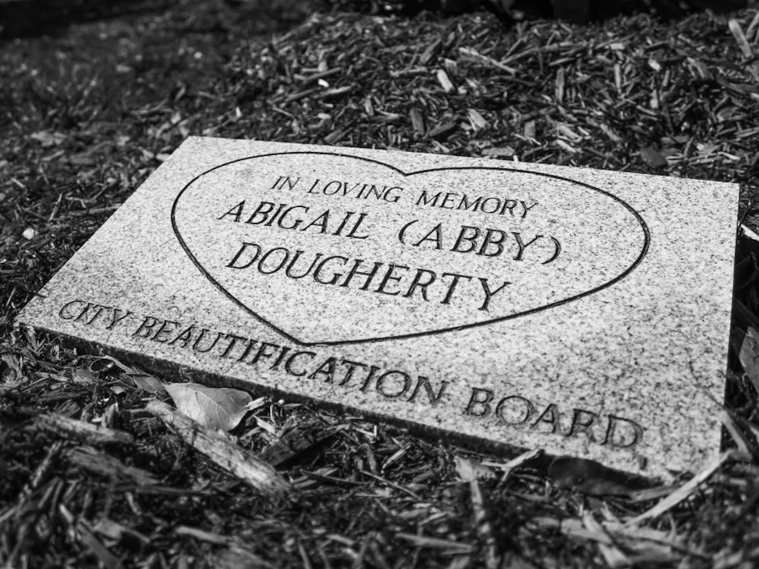 A close-up of the plaque that was made in honor of Abigail Dougherty. The plaque rests below the southern magnolia treeplanted for Dougherty on Thursday.