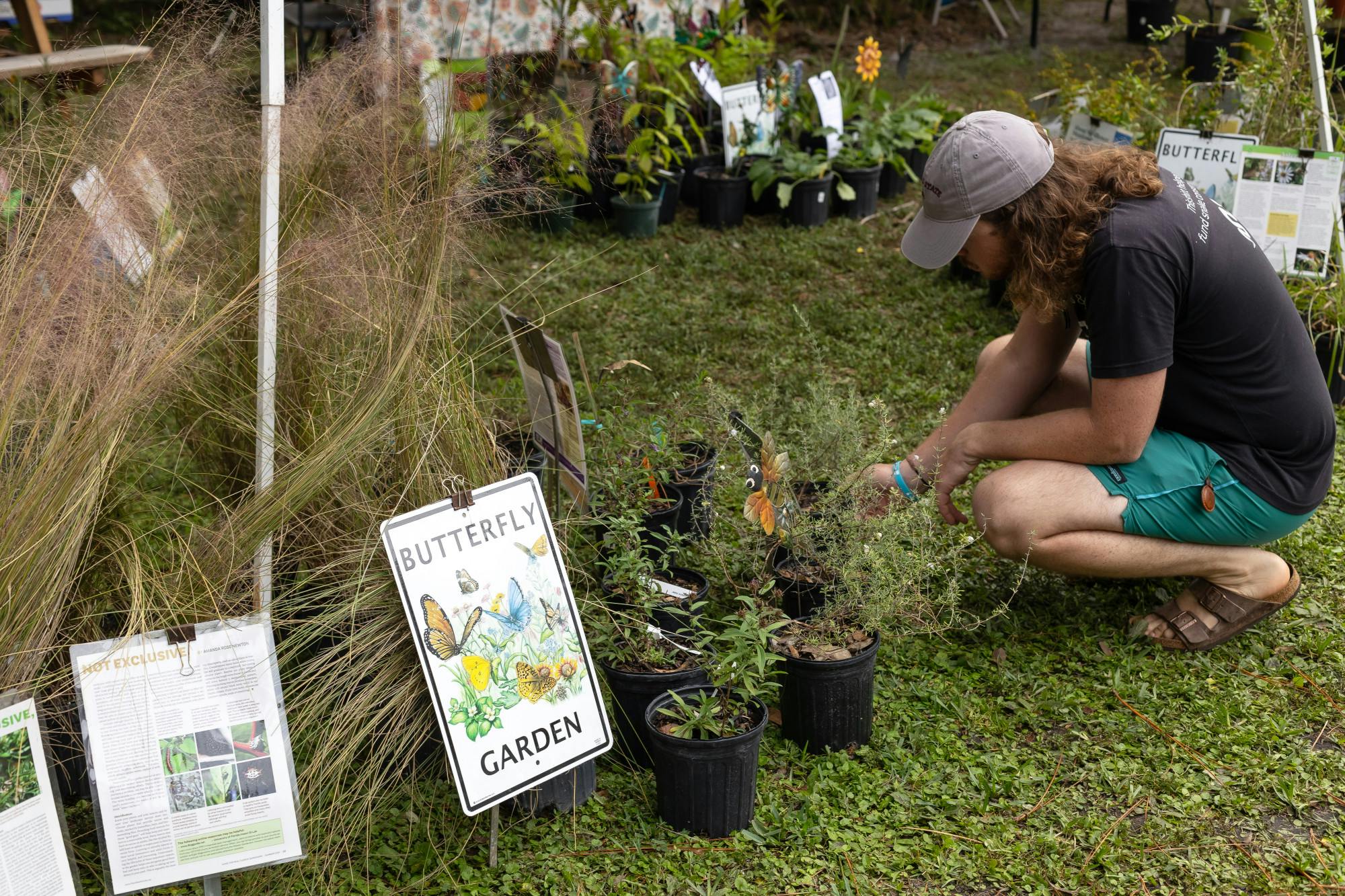 Passerby looks at butterfly plants at the Grow Hub on Nov. 9, 2024.