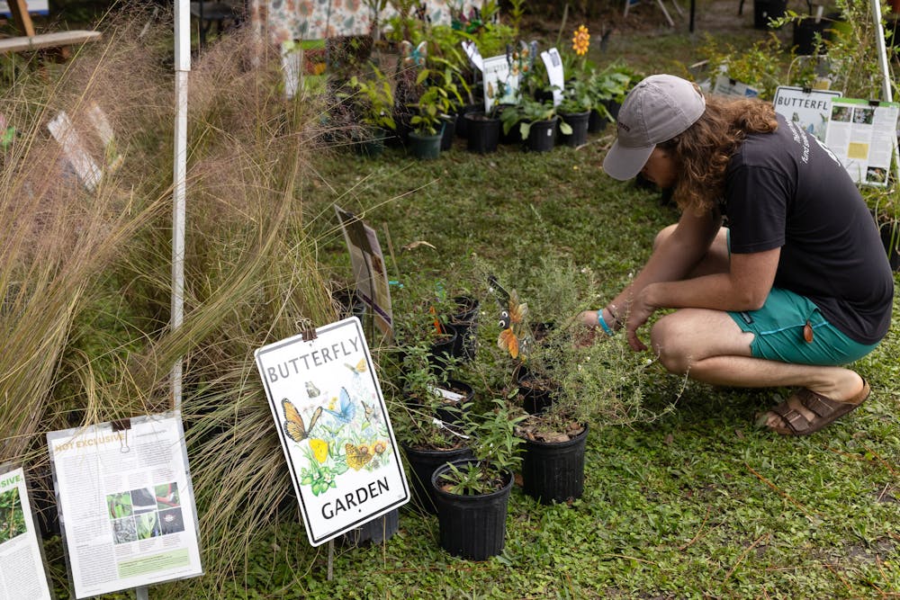 <p>Passerby looks at butterfly plants at the Grow Hub on Nov. 9, 2024.</p>