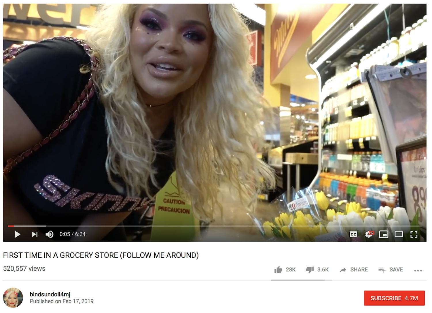 Trisha Paytas, a YouTuber with more than 4.7 million subscribers, vlogs her trip to the grocery store.