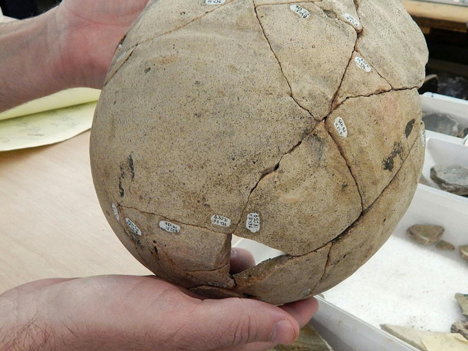 Collections manager Gifford Waters displays a Spanish olive jar reconstructed from artifacts found at the St. Augustine site.